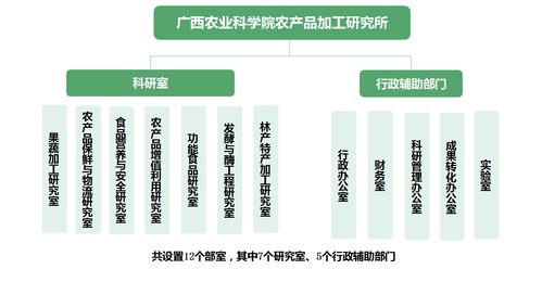 跨界融合 廣西農(nóng)科院農(nóng)產(chǎn)品加工研究所的醫(yī)學研究與試驗發(fā)展新路徑